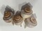 4 pcs.  Atlantic Whelk Sea Shell . Ocean shells. Decor for marine aquariums, interiors, shell showcases. shells for home, large shells. product 4